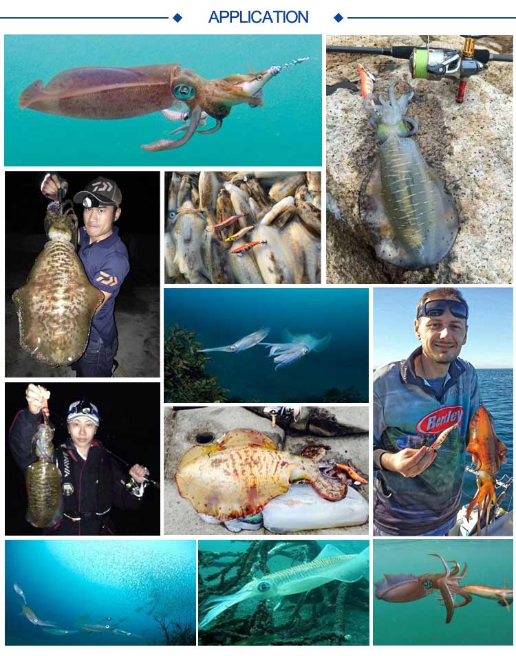 2019 new squid jig 3D simulation of squid jig body more colors for choice