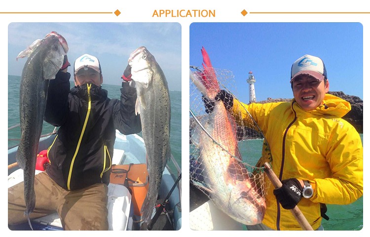 fishing bait sample halco fishing lures